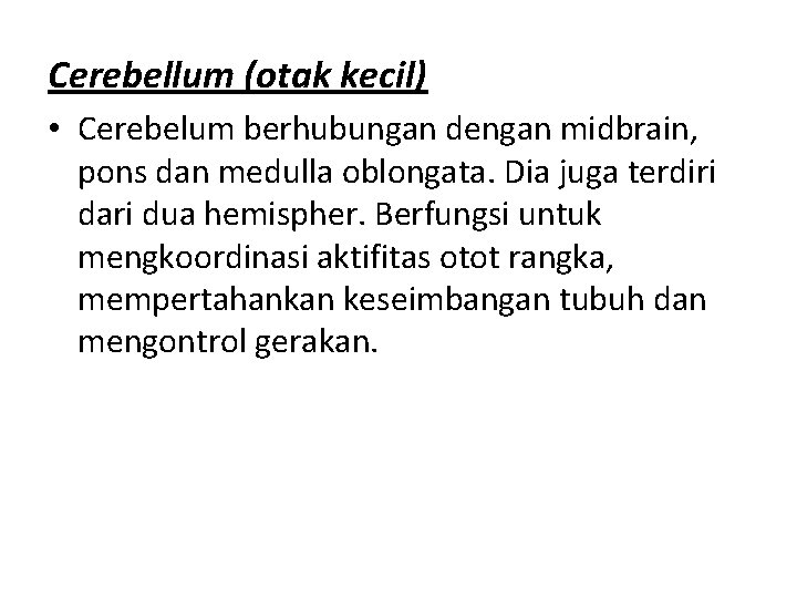 Cerebellum (otak kecil) • Cerebelum berhubungan dengan midbrain, pons dan medulla oblongata. Dia juga