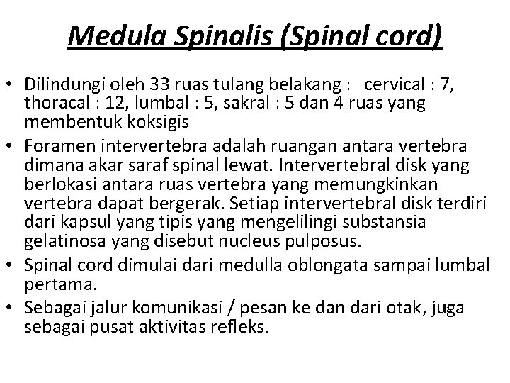 Medula Spinalis (Spinal cord) • Dilindungi oleh 33 ruas tulang belakang : cervical :