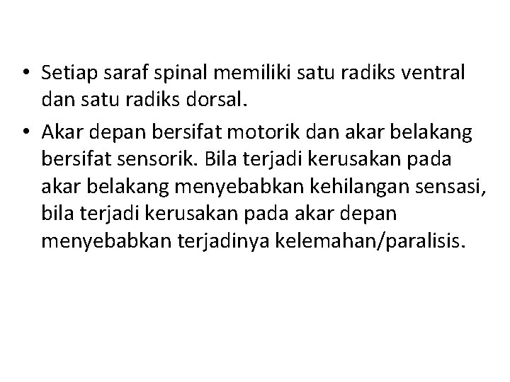  • Setiap saraf spinal memiliki satu radiks ventral dan satu radiks dorsal. •