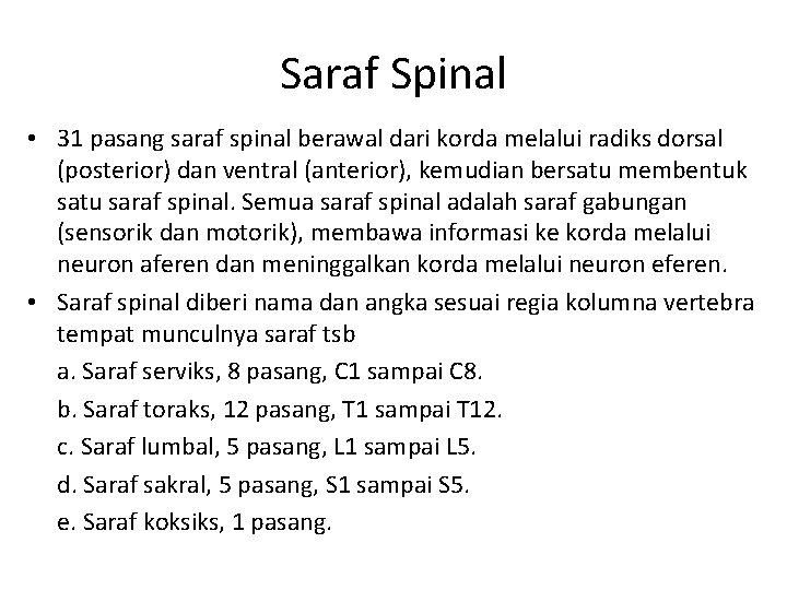 Saraf Spinal • 31 pasang saraf spinal berawal dari korda melalui radiks dorsal (posterior)