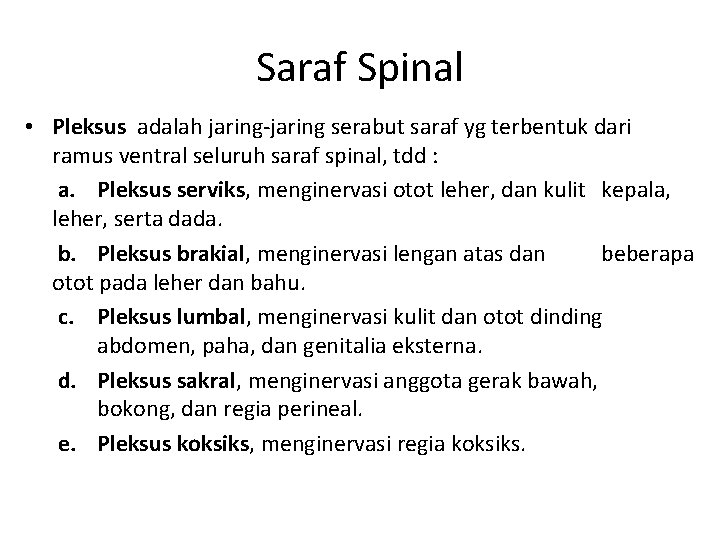 Saraf Spinal • Pleksus adalah jaring-jaring serabut saraf yg terbentuk dari ramus ventral seluruh