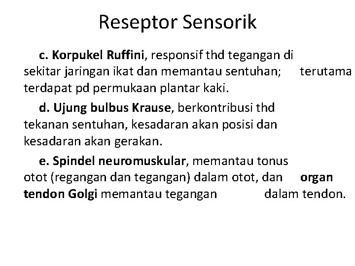 Reseptor Sensorik c. Korpukel Ruffini, responsif thd tegangan di sekitar jaringan ikat dan memantau