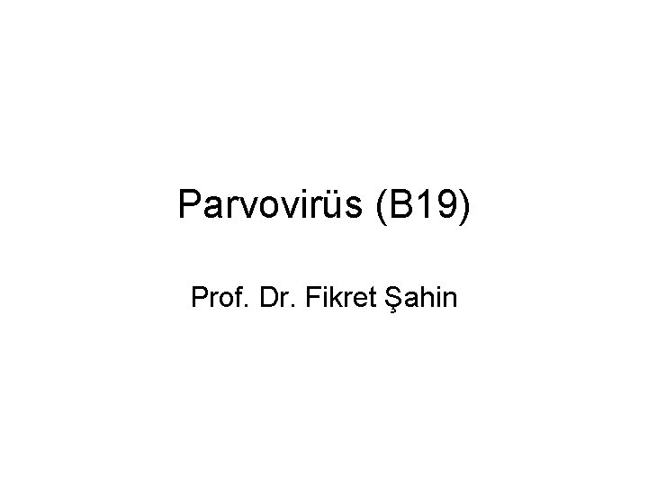 Parvovirüs (B 19) Prof. Dr. Fikret Şahin 