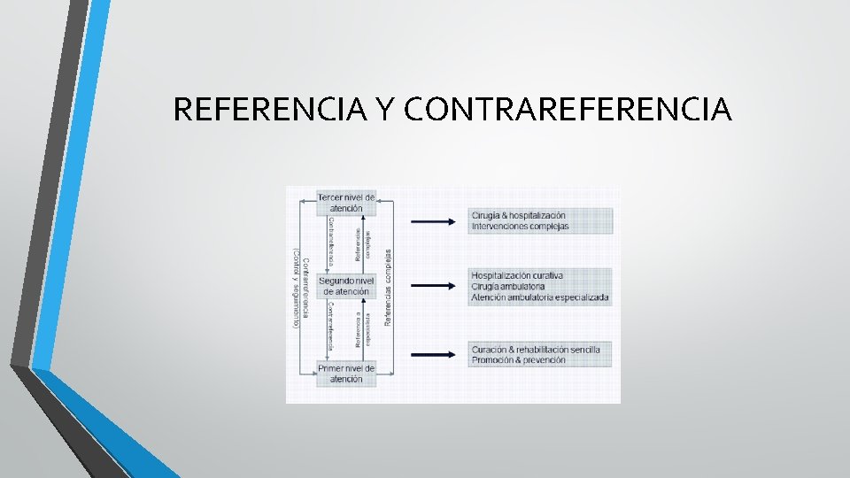 REFERENCIA Y CONTRAREFERENCIA 