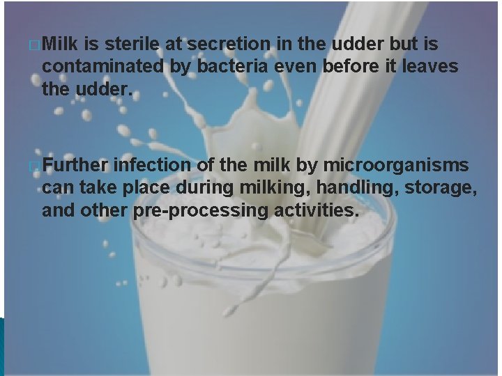 � Milk is sterile at secretion in the udder but is contaminated by bacteria
