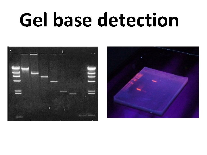 Gel base detection 