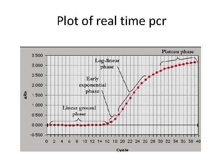 Plot of real time pcr 