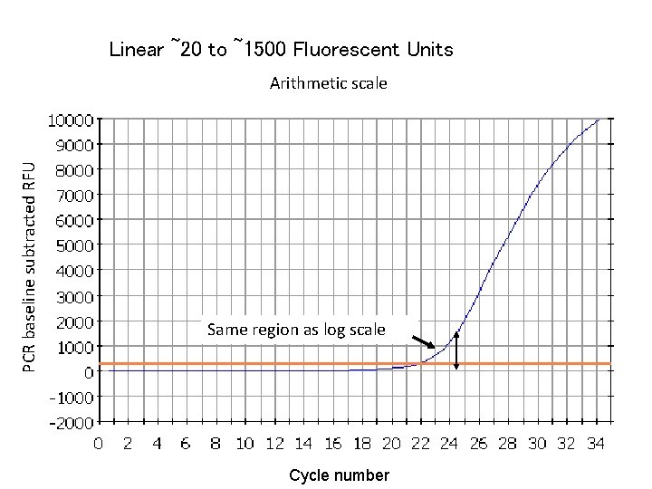 Linear ~20 to ~1500 Fluorescent Units PCR baseline subtracted RFU Arithmetic scale Same region