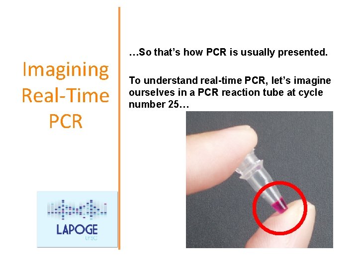 Imagining Real-Time PCR …So that’s how PCR is usually presented. To understand real-time PCR,