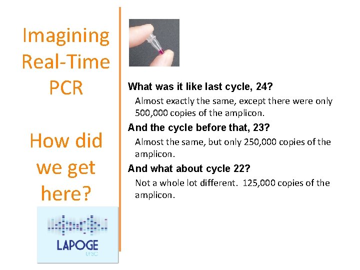 Imagining Real-Time PCR How did we get here? What was it like last cycle,