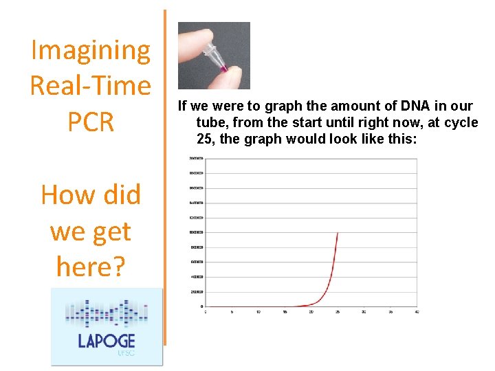 Imagining Real-Time PCR How did we get here? If we were to graph the
