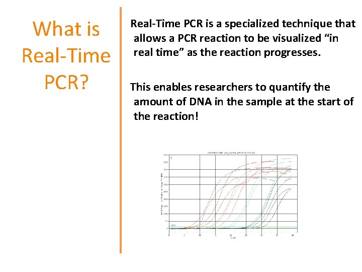What is Real-Time PCR? Real-Time PCR is a specialized technique that allows a PCR