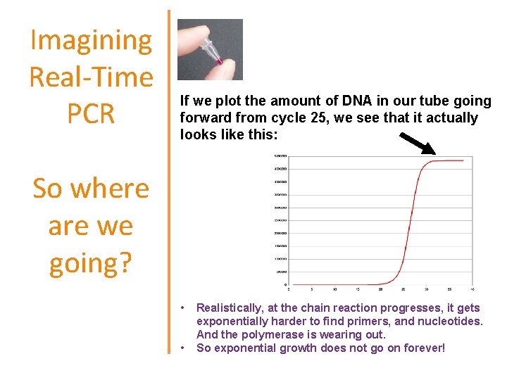 Imagining Real-Time PCR If we plot the amount of DNA in our tube going