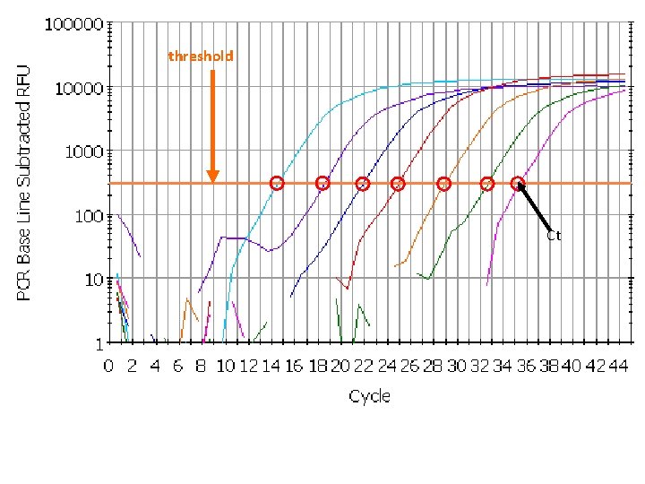 threshold Ct 