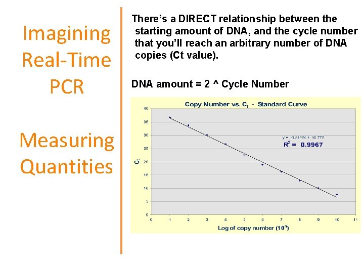 Imagining Real-Time PCR Measuring Quantities There’s a DIRECT relationship between the starting amount of