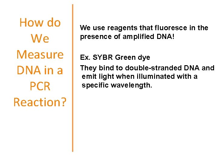 How do We Measure DNA in a PCR Reaction? We use reagents that fluoresce