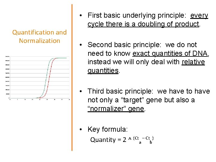 Quantification and Normalization • First basic underlying principle: every cycle there is a doubling