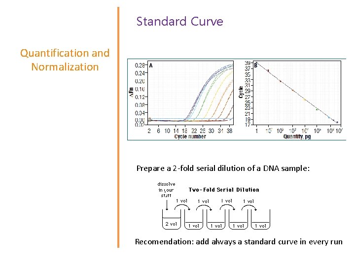 Standard Curve Quantification and Normalization Prepare a 2 -fold serial dilution of a DNA