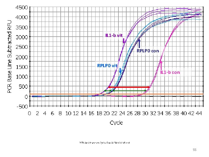 IL 1 -b vit RPLP 0 con RPLP 0 vit IL 1 -b con