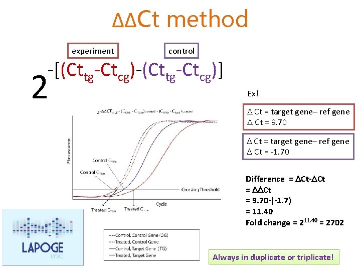 ΔΔCt method experiment control -[(Cttg-Ctcg)-(Cttg-Ctcg)] 2 Ex! D Ct = target gene– ref gene