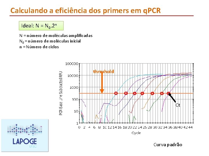 Calculando a eficiência dos primers em q. PCR Ideal: N = N 0. 2