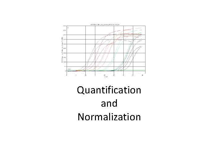 Quantification and Normalization 