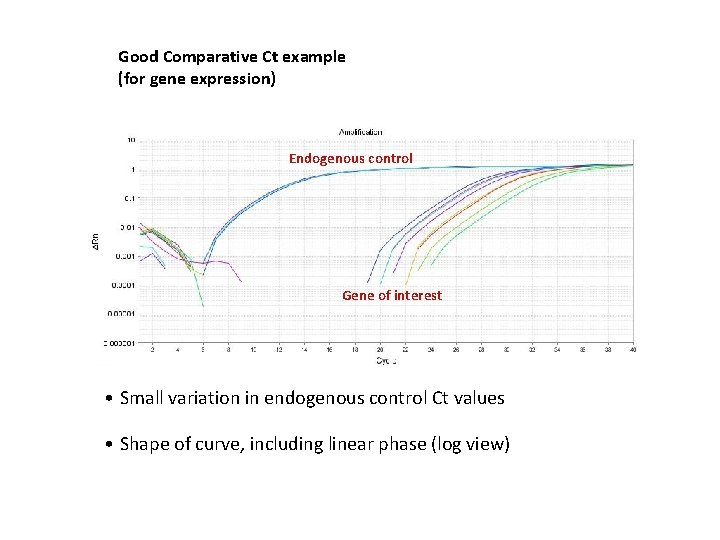 Good Comparative Ct example (for gene expression) Endogenous control Gene of interest • Small