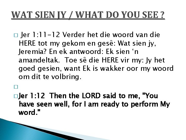 WAT SIEN JY / WHAT DO YOU SEE ? � Jer 1: 11 -12