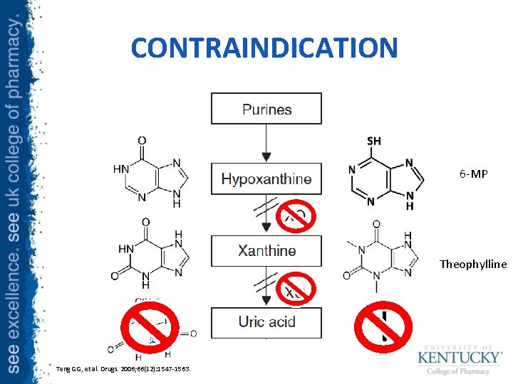 CONTRAINDICATION 6 -MP Theophylline Teng GG, et al. Drugs. 2006; 66(12): 1547 -1563. 