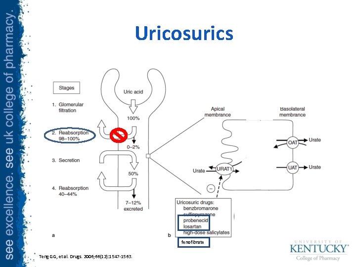 Uricosurics fenofibrate Teng GG, et al. Drugs. 2006; 66(12): 1547 -1563. 