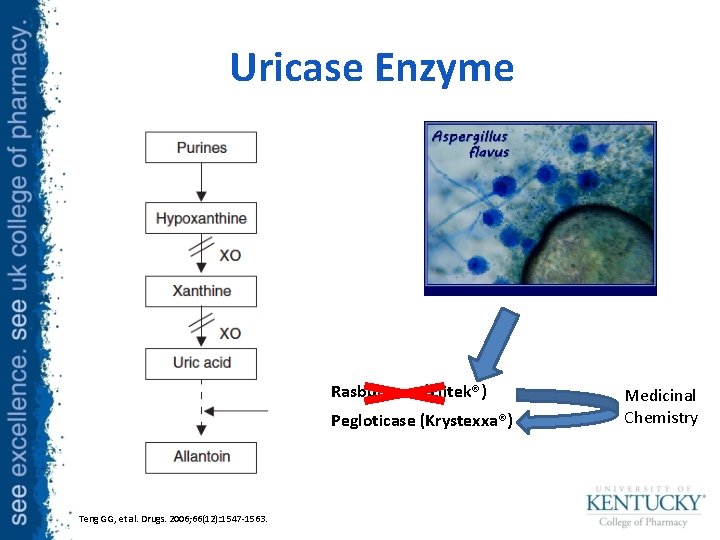 Uricase Enzyme Rasburicase (Elitek®) Pegloticase (Krystexxa®) Teng GG, et al. Drugs. 2006; 66(12): 1547