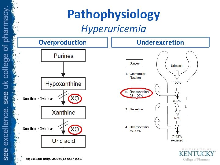 Pathophysiology Hyperuricemia Overproduction Xanthine Oxidase Teng GG, et al. Drugs. 2006; 66(12): 1547 -1563.