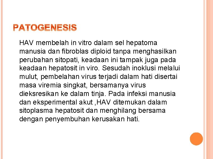 HAV membelah in vitro dalam sel hepatoma manusia dan fibroblas diploid tanpa menghasilkan perubahan