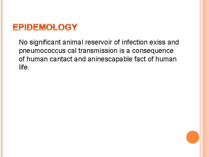 No significant animal reservoir of infection exiss and pneumococcus cal transmission is a consequence