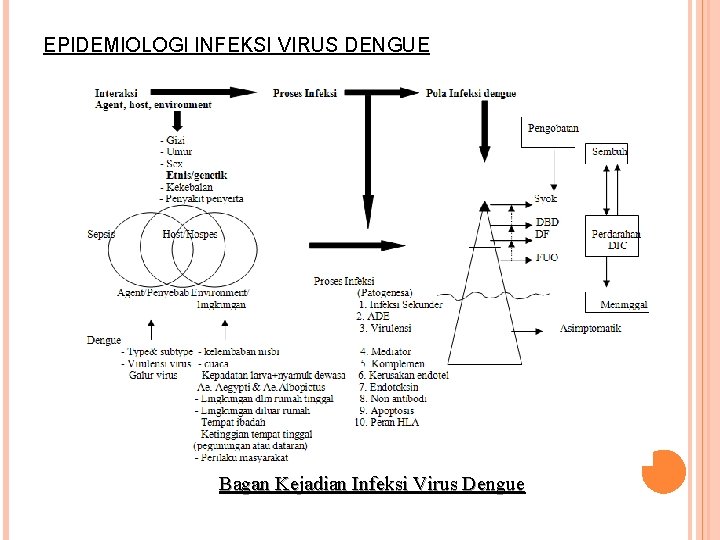 EPIDEMIOLOGI INFEKSI VIRUS DENGUE Bagan Kejadian Infeksi Virus Dengue 