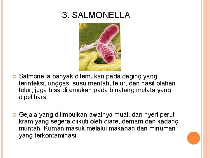 3. SALMONELLA Salmonella banyak ditemukan pada daging yang terinfeksi, unggas, susu mentah, telur, dan