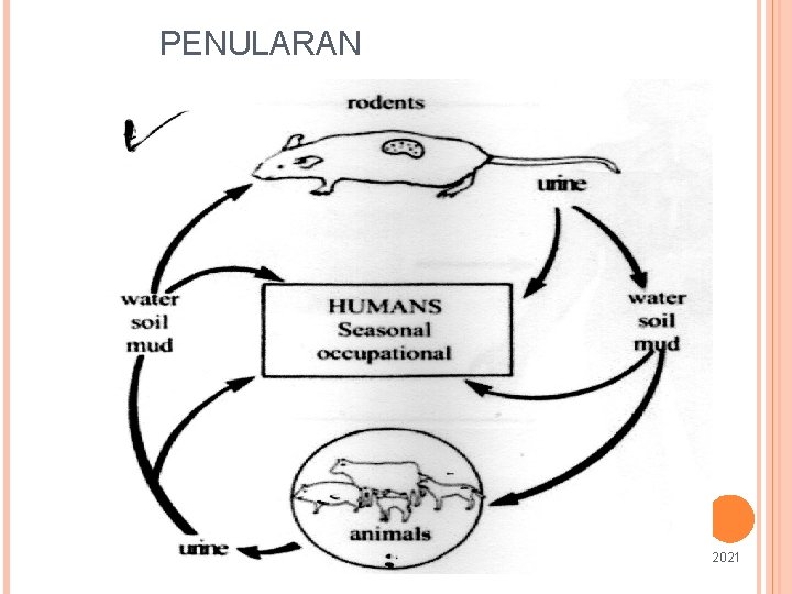 PENULARAN 4 9 6/8/2021 