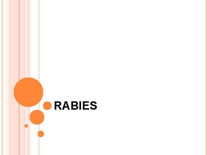 RABIES 