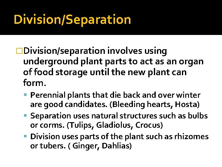 Division/Separation �Division/separation involves using underground plant parts to act as an organ of food