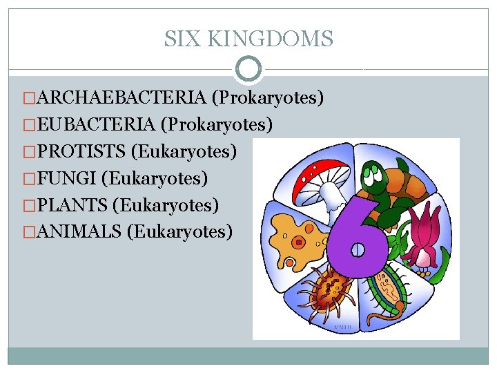 SIX KINGDOMS �ARCHAEBACTERIA (Prokaryotes) �EUBACTERIA (Prokaryotes) �PROTISTS (Eukaryotes) �FUNGI (Eukaryotes) �PLANTS (Eukaryotes) �ANIMALS (Eukaryotes)