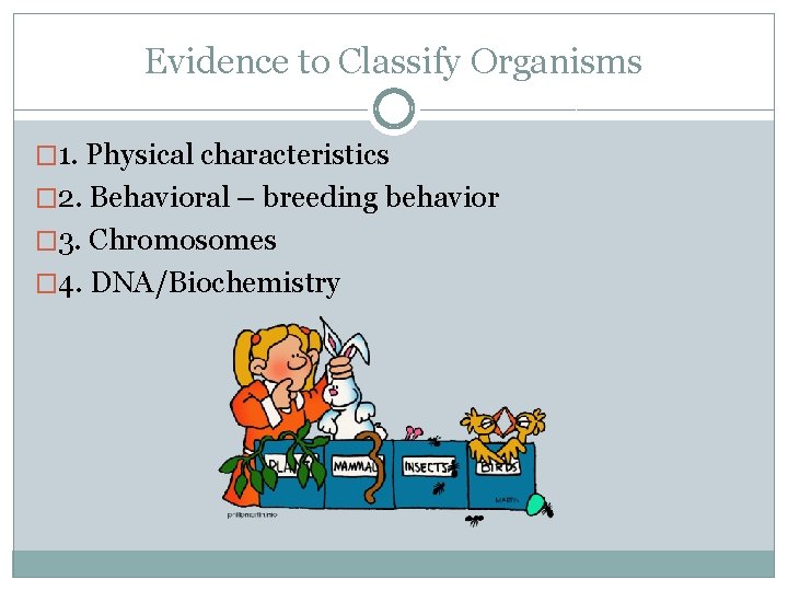 Evidence to Classify Organisms � 1. Physical characteristics � 2. Behavioral – breeding behavior