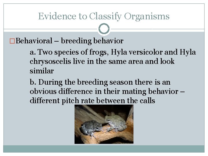 Evidence to Classify Organisms �Behavioral – breeding behavior a. Two species of frogs, Hyla