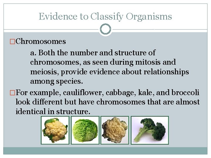 Evidence to Classify Organisms �Chromosomes a. Both the number and structure of chromosomes, as