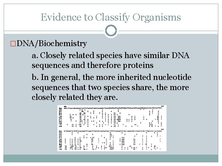 Evidence to Classify Organisms �DNA/Biochemistry a. Closely related species have similar DNA sequences and