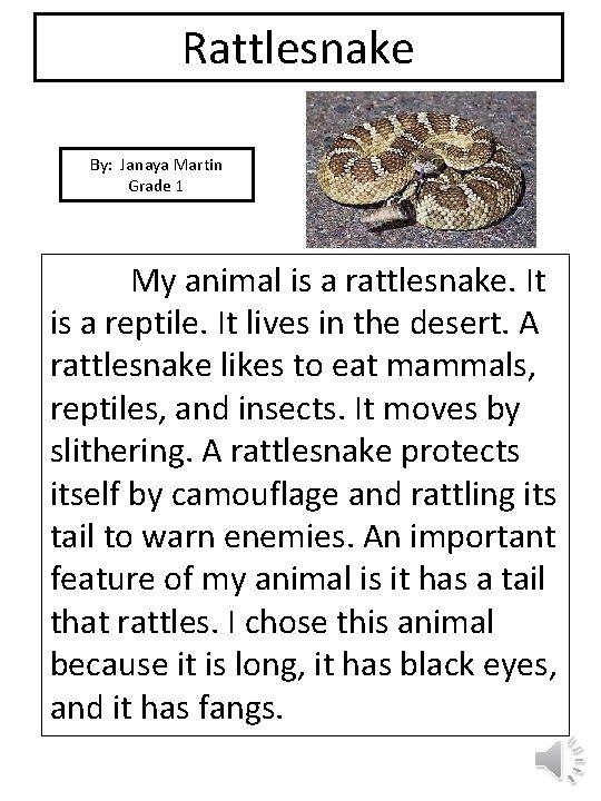 Rattlesnake By: Janaya Martin Grade 1 picture My animal is a rattlesnake. It is