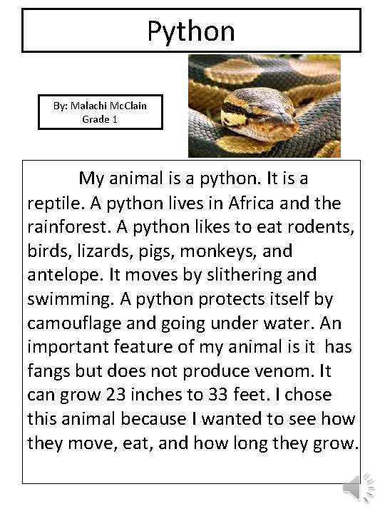 Python By: Malachi Mc. Clain Grade 1 picture My animal is a python. It