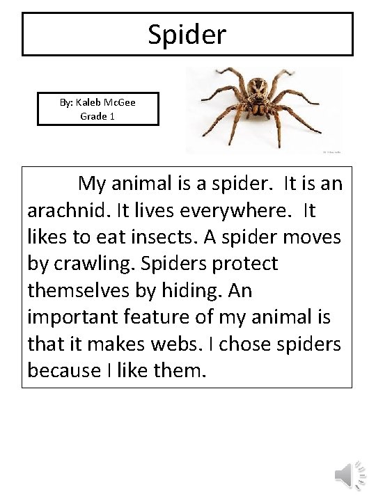 Spider By: Kaleb Mc. Gee Grade 1 picture My animal is a spider. It