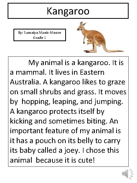 Kangaroo By: Sumaiya Munir-Moore Grade 1 picture My animal is a kangaroo. It is