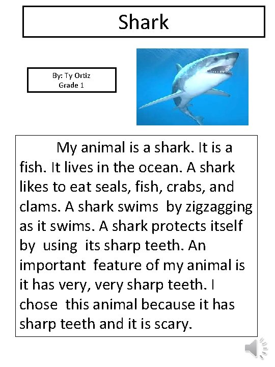 Shark By: Ty Ortiz Grade 1 picture My animal is a shark. It is