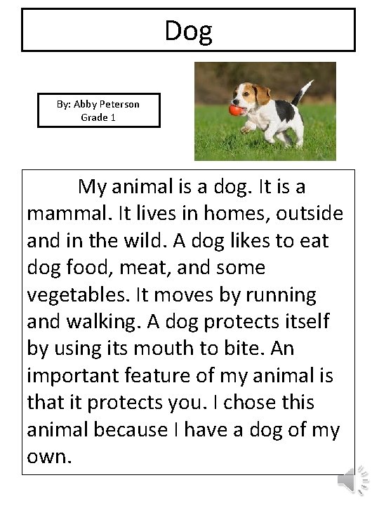 Dog By: Abby Peterson Grade 1 picture My animal is a dog. It is